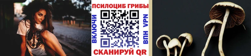 Псилоцибиновые грибы Magic Shrooms Купить закладки Фурманов